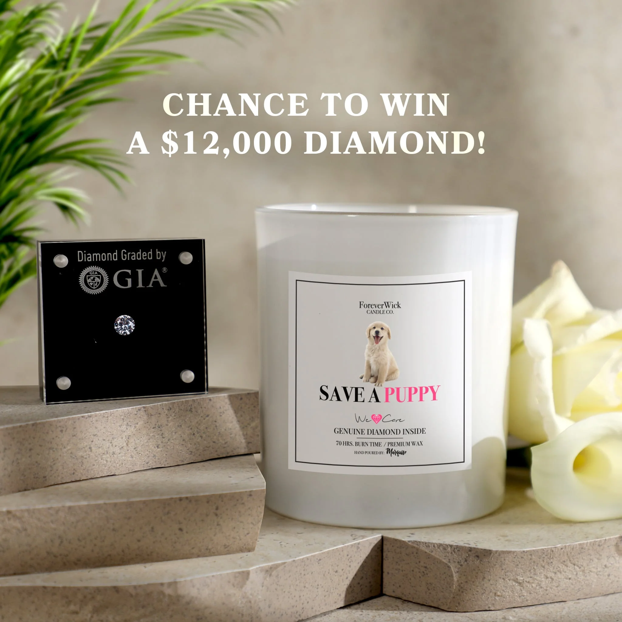 Save A Puppy Diamond Candle - Image 11