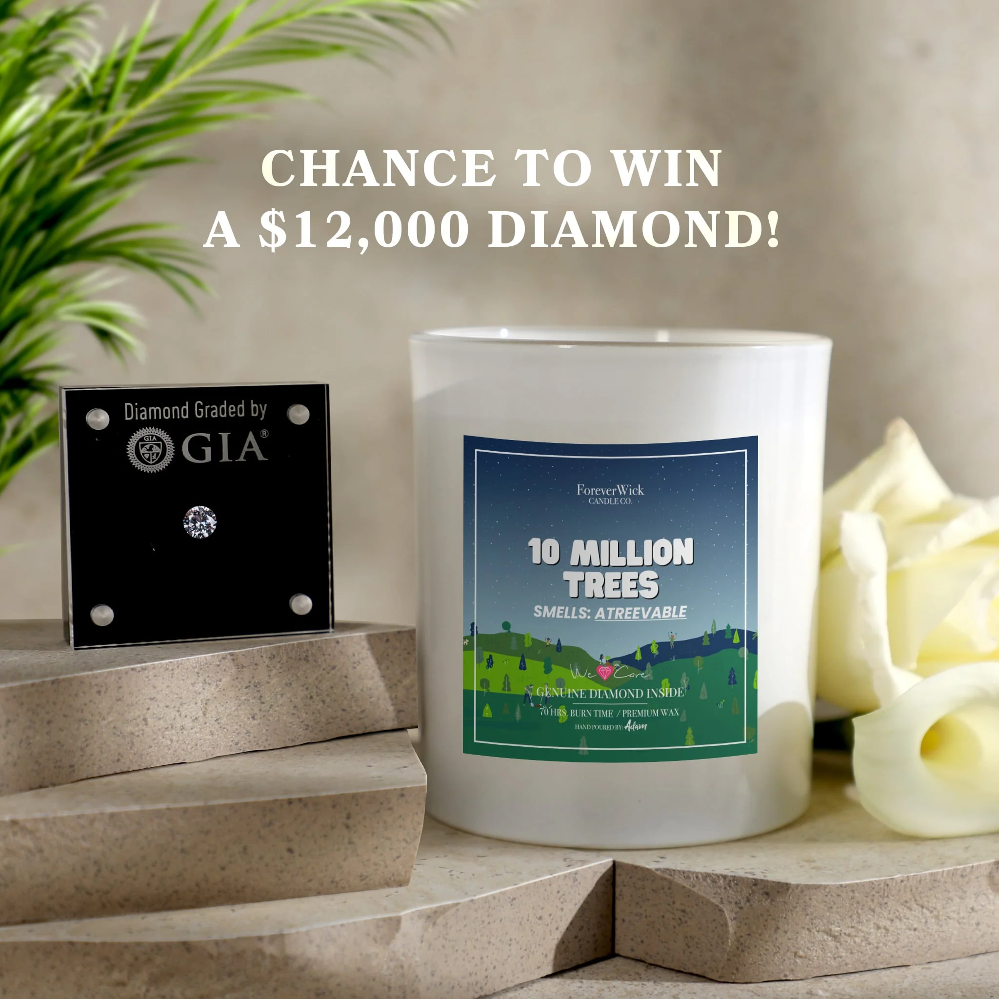 10 Million Trees Smells: aTreevable Diamond Candle - Image 4